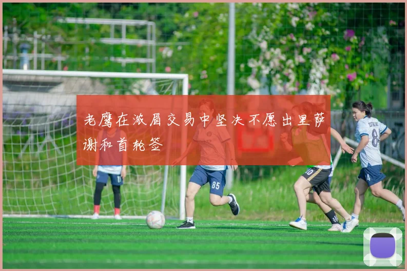 老鹰在浓眉交易中坚决不愿出里萨谢和首轮签